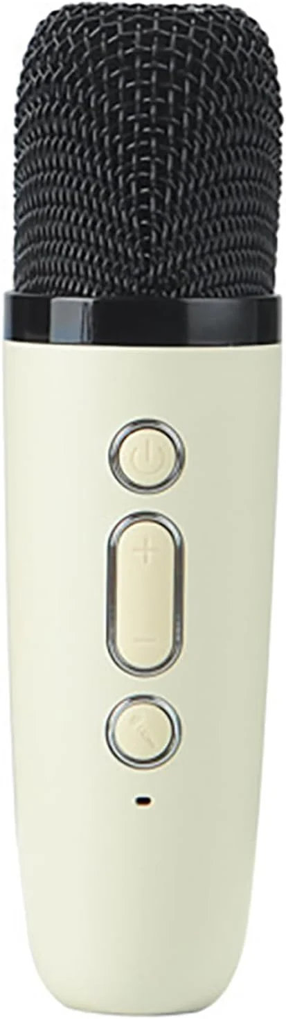 اسپیکر کارائوکه عمومی، دستگاه کارائوکه رادیو FM برای مهمانی خانوادگی (میکروفون دوتایی)