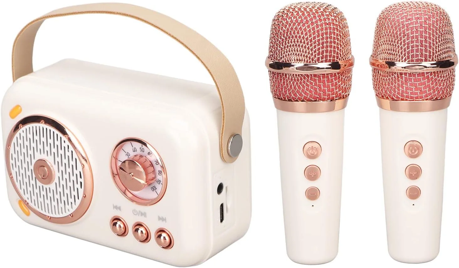 سیستم بلندگوی PA، دستگاه کارائوکه با 6 حالت بلندگوی فرکانس کامل تقویت شده بیس قابل حمل با میکروفون های بی سیم بلوتوث داخلی برای خانه