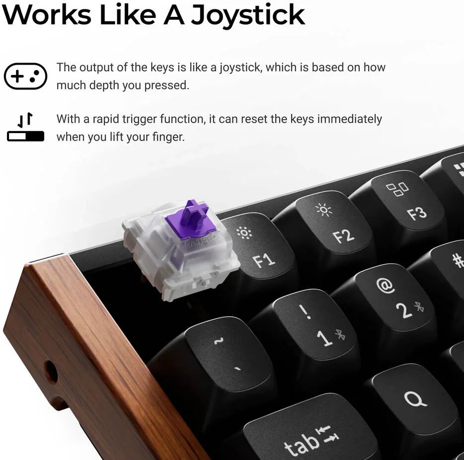 کیبورد سفارشی Keychron K2 HE با سوییچ مغناطیسی بیسیم، طرحبندی انگلیسی-عربی، اتصال 2.4 گیگاهرتز و بلوتوث، نرخ نظرسنجی 1000 هرتز، مشکی | K2H-J1-AR کیبورد سفارشی Keychron K2 HE با سوییچ مغناطیسی بیسیم، طرحبندی انگلیسی-عربی، اتصال 2.4 گیگاهرتز و بلوتوث، نرخ نظرسنجی 1000 هرتز، مشکی | K2H-J1-AR