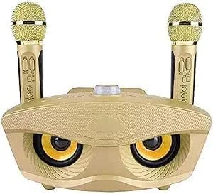 سیستم میکروفون بی سیم دوگانه با میکسر - میکروفون های دستی دو کاناله حرفه ای برای دی جی، کلیسا، عروسی، مهمانی خانگی، سخنرانی - صدای شفاف - ایده آل برای رویدادها و گردهمایی ها