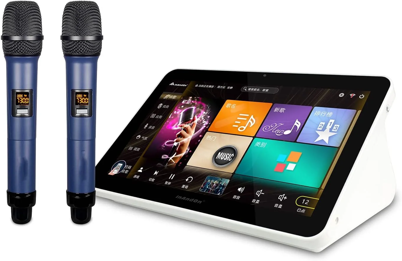 دستگاه کارائوکه با صفحه لمسی خازنی 15.6 اینچی و میکروفون بی سیم، پشتیبانی از چندین زبان برای مهمانی خانگی، KTV، DJ و بار، 2 ترابایت