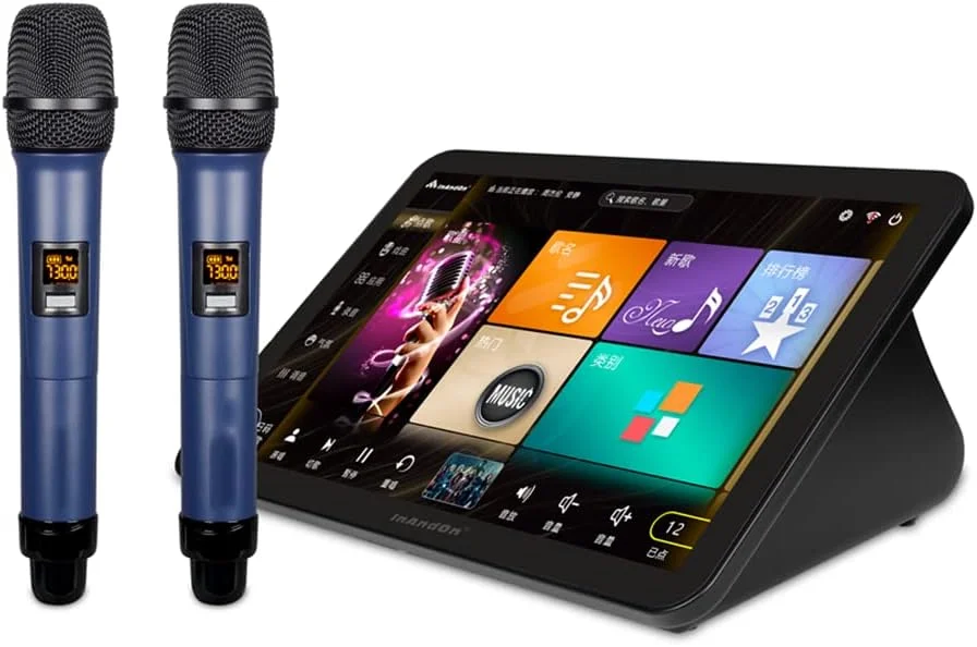 دستگاه کارائوکه با صفحه لمسی خازنی 15.6 اینچی و میکروفون بی سیم، پشتیبانی از چندین زبان برای مهمانی خانگی، KTV، DJ و بار، 2 ترابایت