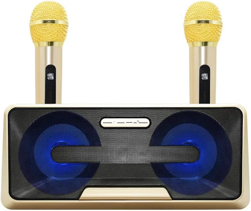 اسپیکر کارائوکه بلوتوثی بی سیم ARAST، میکروفون قابل حمل خانگی و تلفن همراه، میکروفون های کندانسور LEOWE