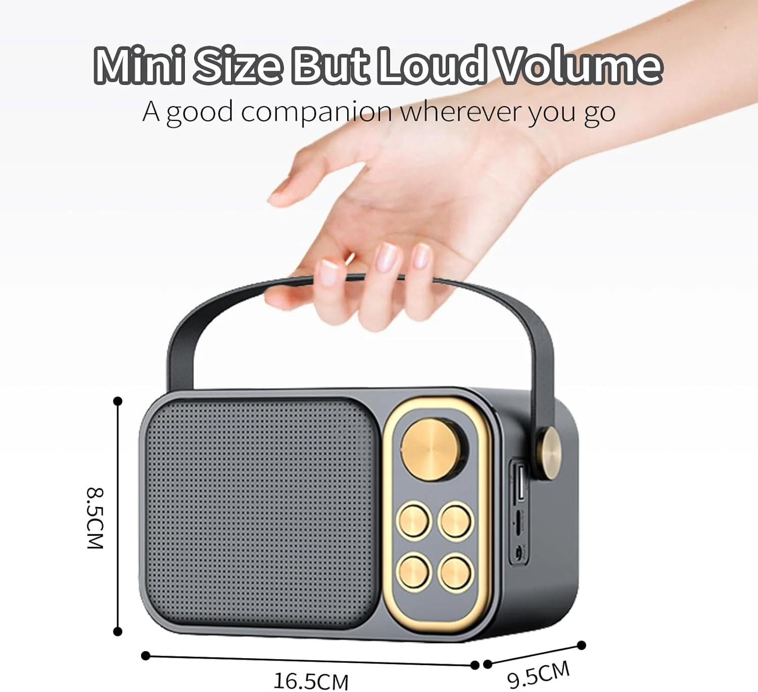 دستگاه کارائوکه آچاس برای بزرگسالان و کودکان، اسپیکر کارائوکه بلوتوث قابل حمل با 2 میکروفون بی سیم سیستم بلندگوی PA برای مهمانی های داخلی و خارجی، مهمانی خانوادگی و آواز خواندن دستگاه کارائوکه آچاس برای بزرگسالان و کودکان، اسپیکر کارائوکه بلوتوث قابل حمل با 2 میکروفون بی سیم سیستم بلندگوی PA برای مهمانی های داخلی و خارجی، مهمانی خانوادگی و آواز خواندن