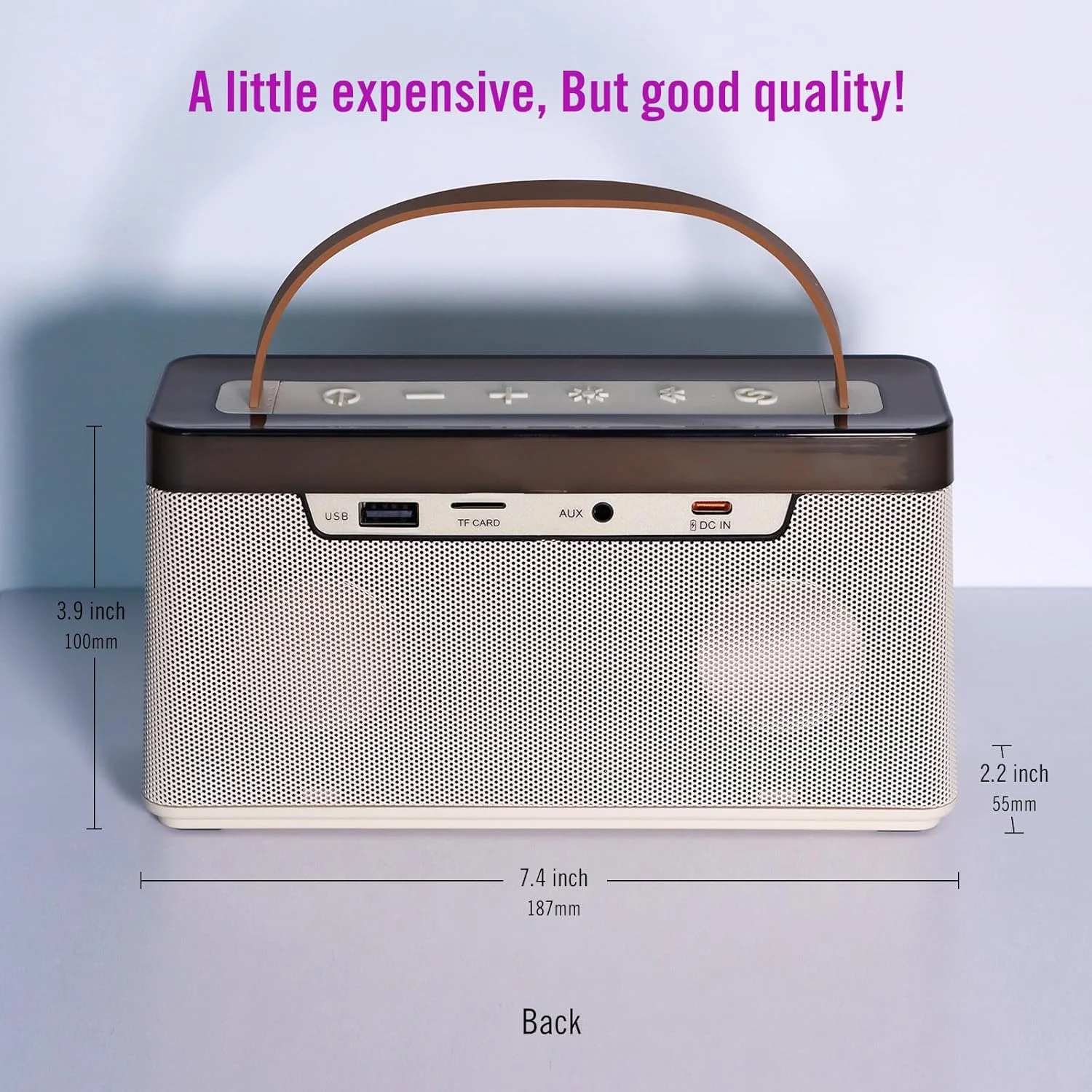 دستگاه کارائوکه قابل حمل، هدیه ای برای بزرگسالان یا کودکان، شامل بلندگوی بلوتوث و 2 میکروفون برای مهمانی، KTV خانگی، فضای باز، آتش بازی، مسافرت