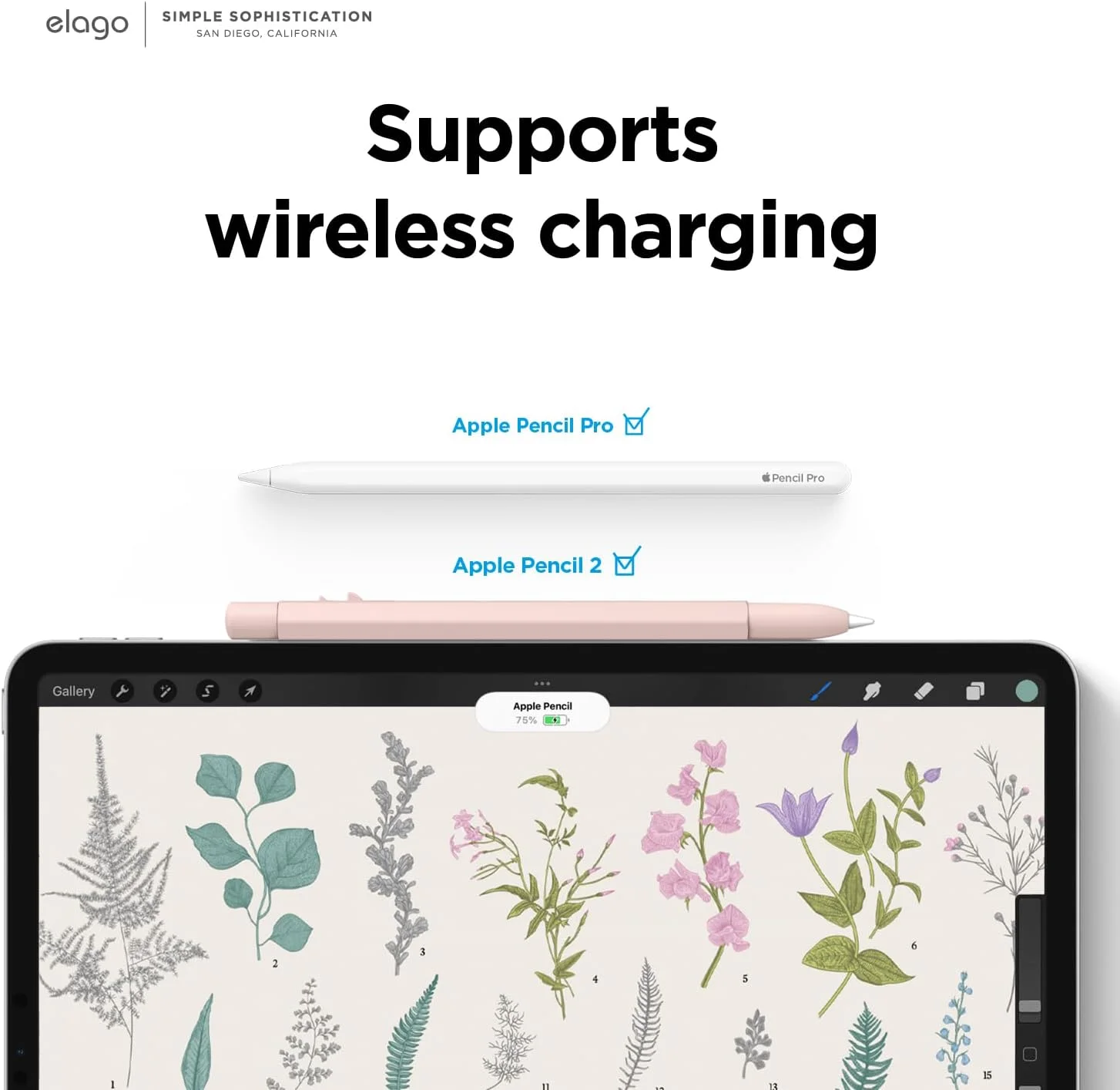 محفظه مداد الاستیکو x MONAMI سازگار با قلم لمسی اپل نسل دوم، طراحی کلاسیک، سازگار با شارژ مغناطیسی و ضربه زدن دوگانه - گل صد تومانی محفظه مداد الاستیکو x MONAMI سازگار با قلم لمسی اپل نسل دوم، طراحی کلاسیک، سازگار با شارژ مغناطیسی و ضربه زدن دوگانه - گل صد تومانی