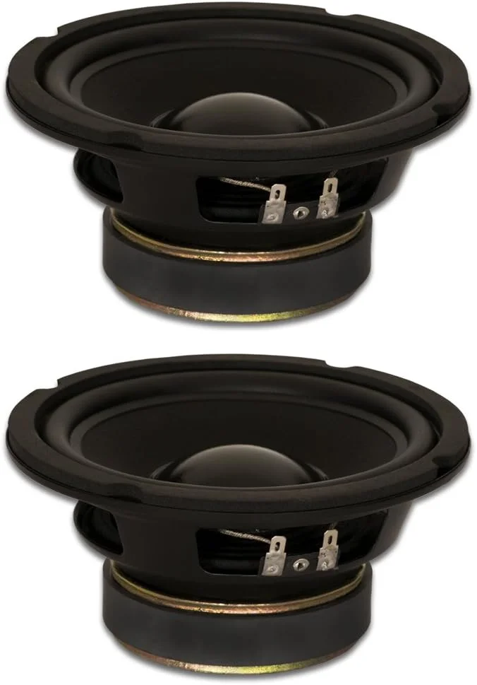 بلندگو ساب ووفر استیج گلدوود ساند، با دور لاستیکی، ووفر 6.5 اینچی 170 وات، 4 اهم، مجموعه 2 عددی (GW-6024-2)