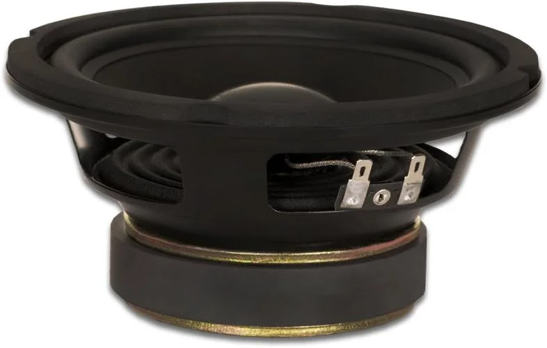 بلندگو ساب ووفر استیج گلدوود ساند، با دور لاستیکی، ووفر 6.5 اینچی 170 وات، 4 اهم، مجموعه 2 عددی (GW-6024-2)
