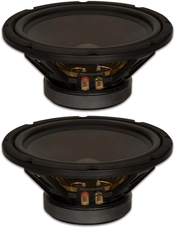ساب ووفر استودیویی گلدوود ساند، ووفر ۱۰ اینچی ۴ اهم با قدرت ۴۰۰ وات، مجموعه ۲ عددی