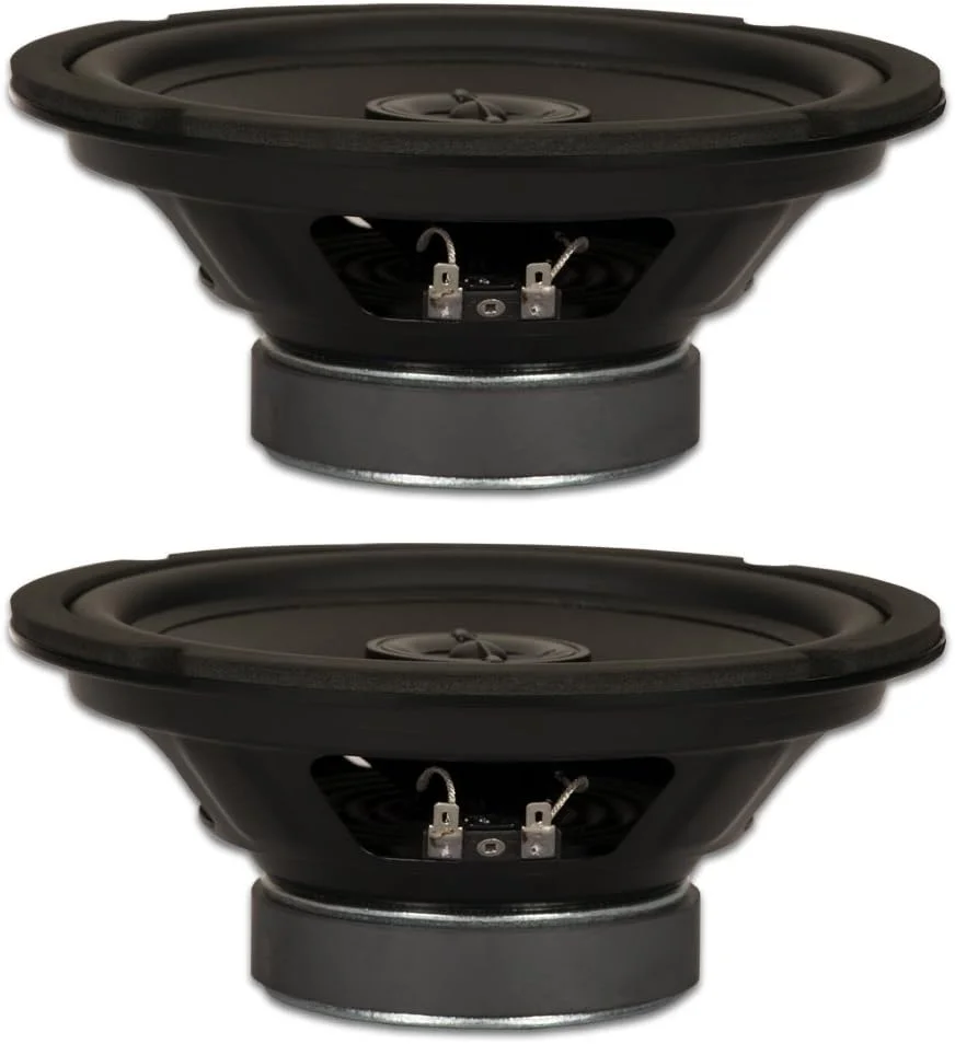 بلندگوی استیج گلدوود ساند، ووفرهای دو طرفه 8 اینچی با توییتر 50 وات، 8 اهم، مجموعه 2 عددی (GW-8004/8-2)