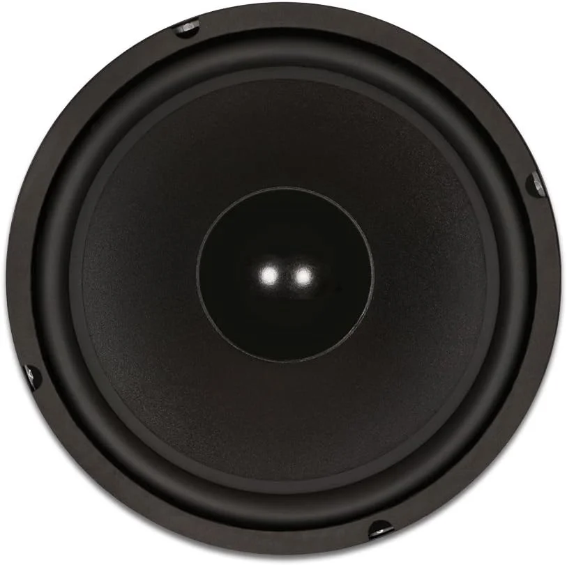 ووفر ۱۰ اینچی گلدوود مدل GW-1038 با حاشیه لاستیکی، ۲۵۰ وات ۸ اهم، بلندگوی جایگزین
