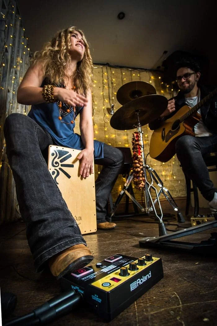 پردازشگر میکروفون رولند برای EC-10 ELCajon (EC-10M) پردازشگر میکروفون رولند برای EC-10 ELCajon (EC-10M)