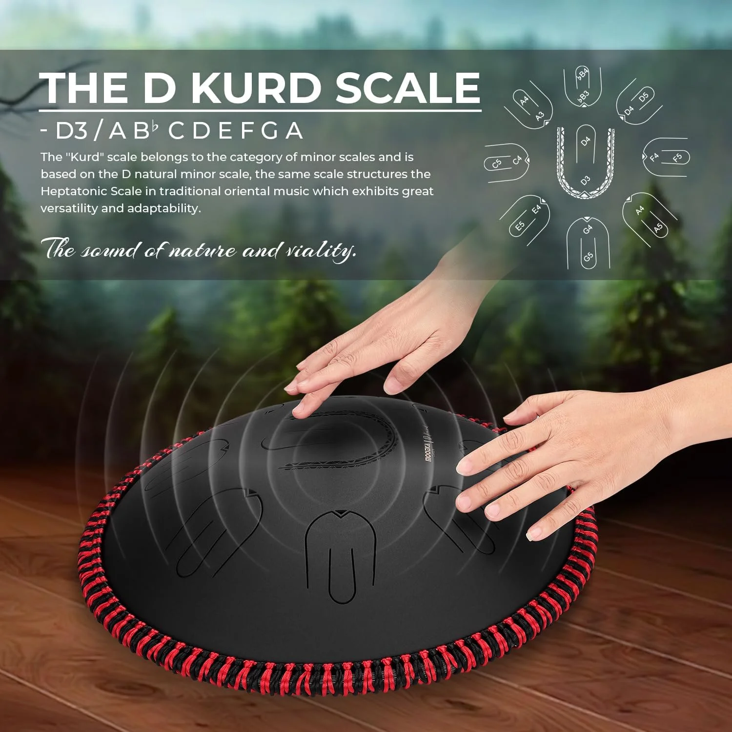 درام تانگ استیل MOOZICA، 14 اینچی، مقیاس D-Kurd قابل حمل با طراحی اکتاو اورتون، درام هندپن برای مبتدی و حرفه ای (D-Kurd، مشکی)