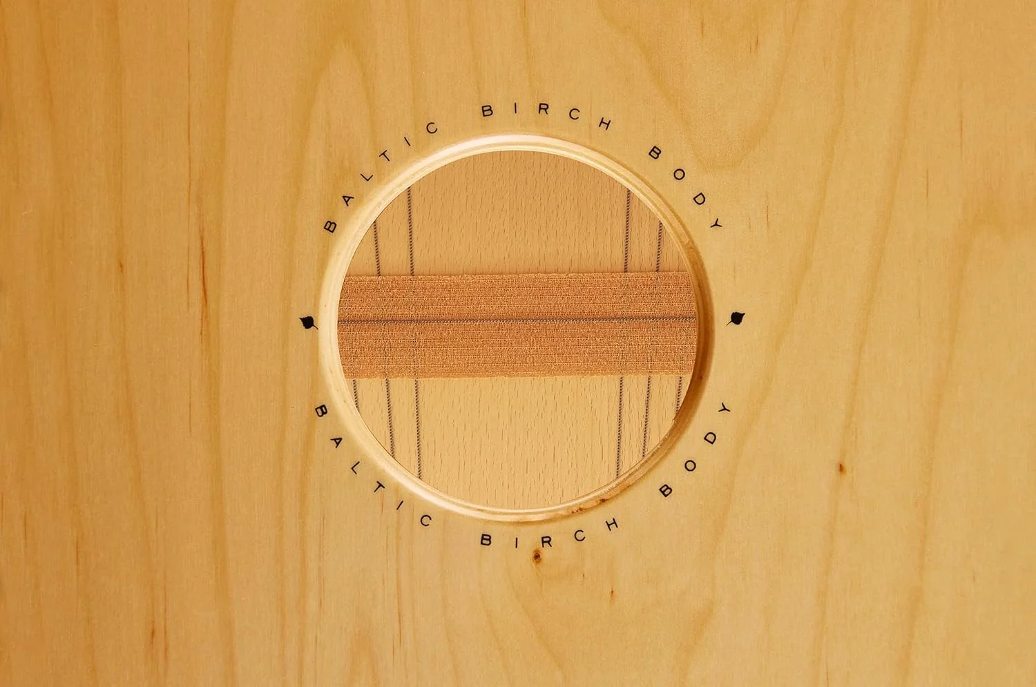 کاخن ماینل با سیم های داخلی برای افکت اسنر - صفحه جلویی ماهون، بدنه توس بالتیک، مدل Woodcraft Professional (WCP100MH)