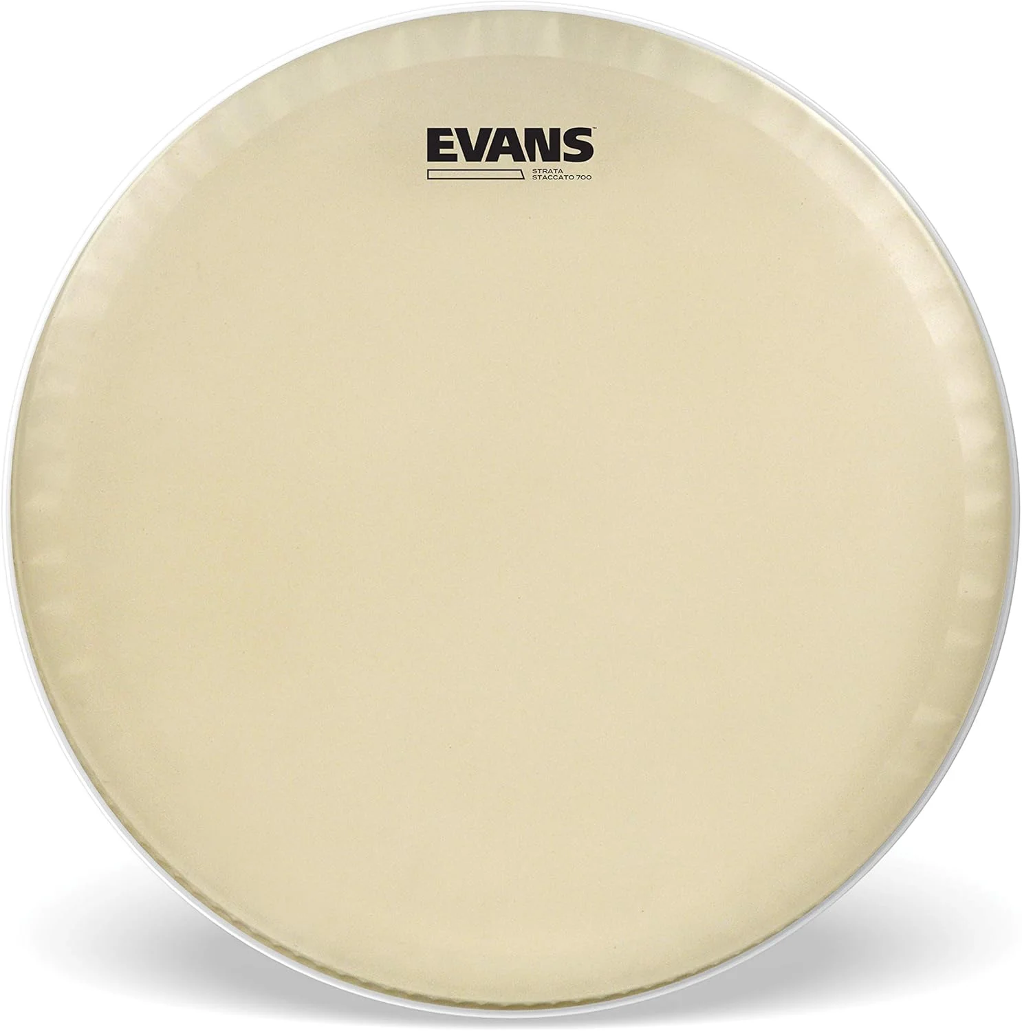 پوست درام استاکاتو 700 Evans Strata برای سنج، 14 اینچ