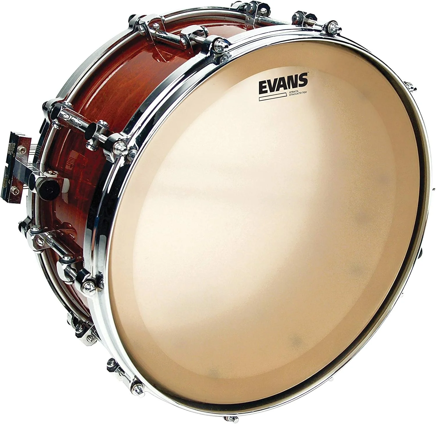 پوست درام استاکاتو 700 Evans Strata برای سنج، 14 اینچ