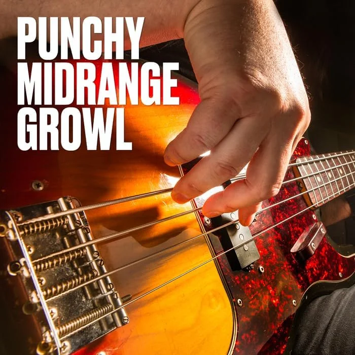 سیم های گیتار باس جیم دانلوپ با روکش نیکل، مقیاس XL، مجموعه 5 عددی (DBN45125XL) سیم های گیتار باس جیم دانلوپ با روکش نیکل، مقیاس XL، مجموعه 5 عددی (DBN45125XL)