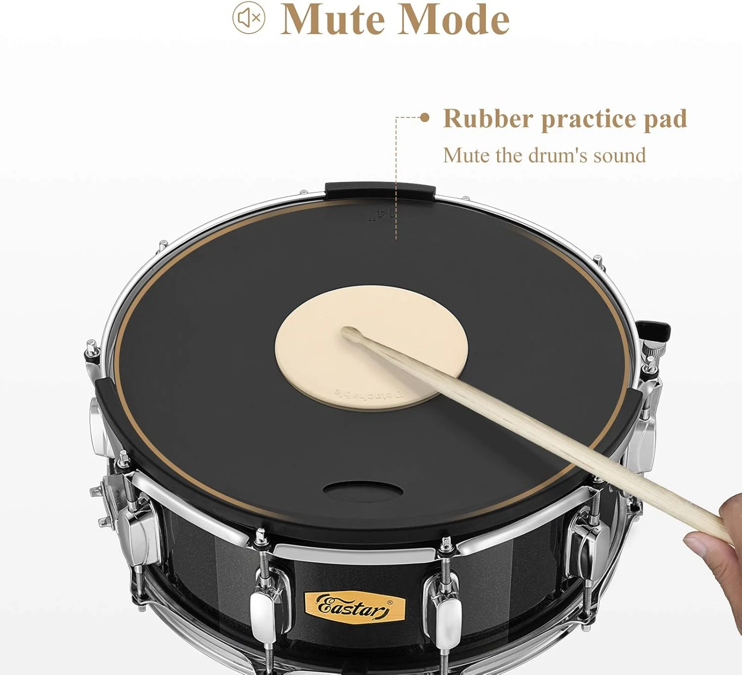 ایستار EDS-1455SBK ست اسنر درام، مشکی ستارهای ایستار EDS-1455SBK ست اسنر درام، مشکی ستارهای