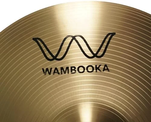 سنج های ومبوکا HCS 14 اینچ (35.5 سانتی متر) - جفت - پرداخت آلیاژ سنتی برای هنرجویان سنج های ومبوکا HCS 14 اینچ (35.5 سانتی متر) - جفت - پرداخت آلیاژ سنتی برای هنرجویان