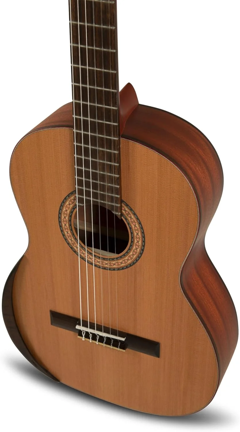 گیتار کلاسیک مانوئل رودریگز Tradicion T-65 سایز 4/4