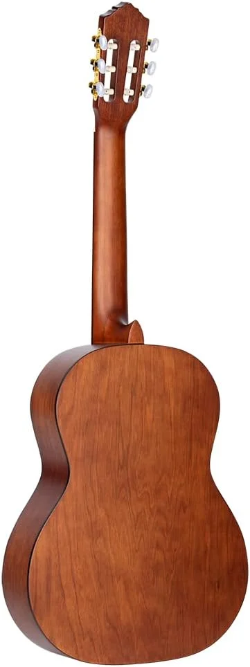 گیتار کنسرت 4/4 ارtega Guitars - با تکیه گاه بازو - سری Student Pro - صنوبر یکپارچه Engelmann، کاتالپا، چند رنگ (R55DLX-BFT)