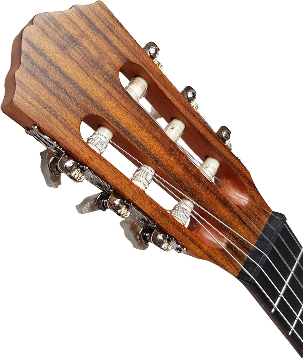 گیتار کلاسیک MSA 4/4 سدر یکپارچه - گیتار کنسرت ماهون - کلاسیک - طبیعی - پشت و کناره ها ماهون - سیم های D´ADDARIO - صفحه یکپارچه - MCG200M