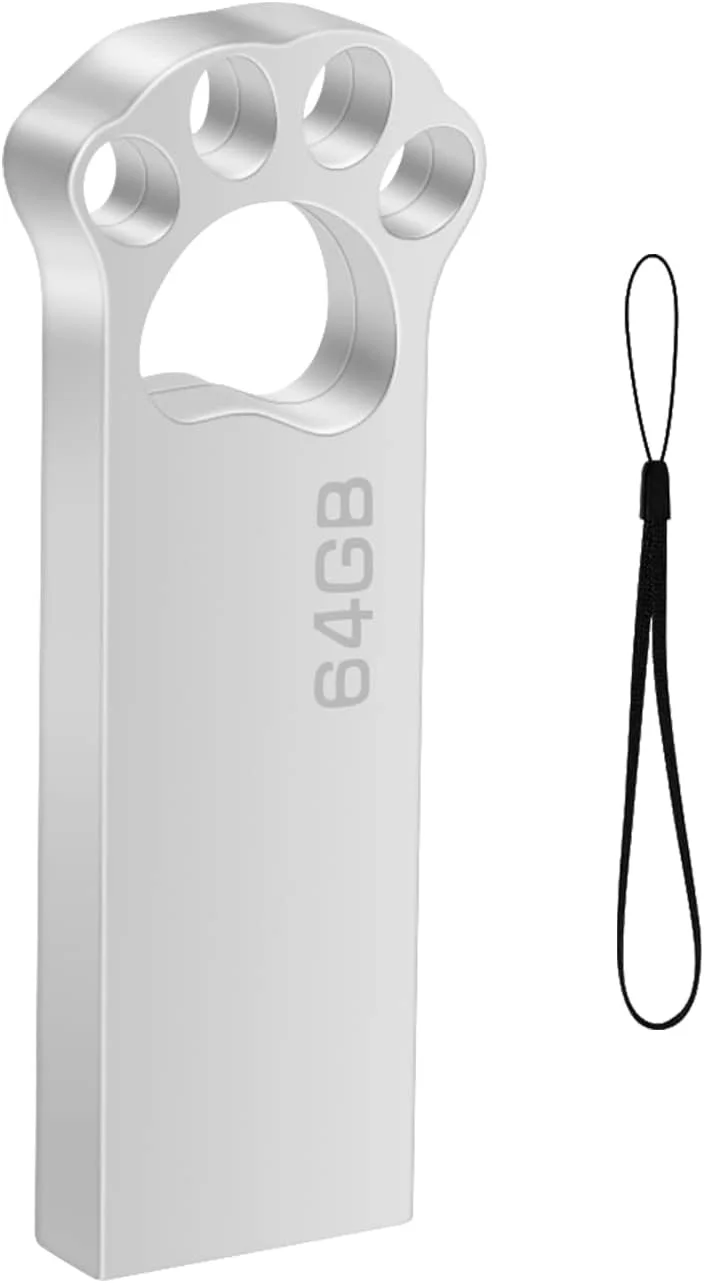 فلش مموری 64 گیگابایتی Geweo، فلش مموری باریک 64 گیگابایتی USB 2.0 ضد آب با جاکلیدی برای مدرسه، دفتر، ماشین، کامپیوتر، لپ تاپ (نقره ای)