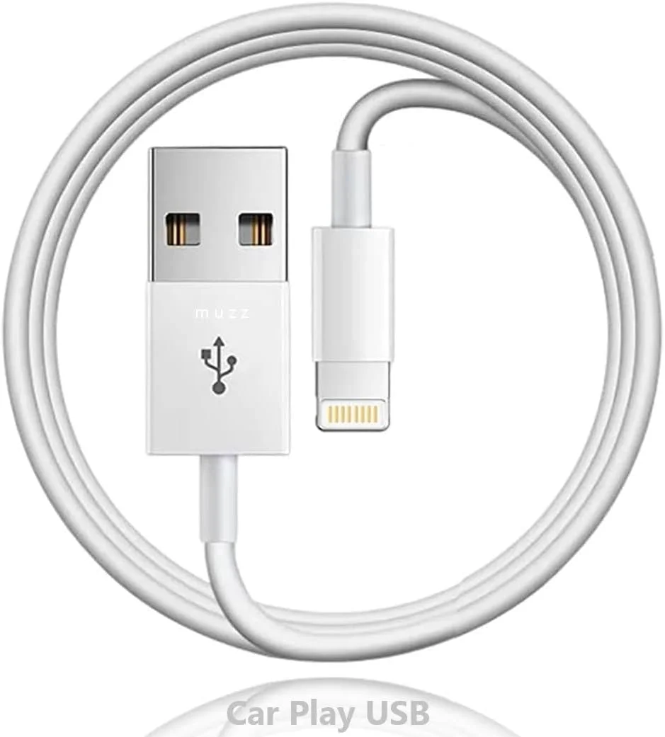 کابل اتصال و شارژ سازگار با دستگاه های آیفون 14، 13، 12، 11 پرو مکس، مینی SE نسل 2، XR، XS، X، 8، 7، 6 پلاس، آیپد/آیپد ایر 2/مینی، ایرپاد 1 نسل 2، شارژر هدفون ایرپاد، کابل لایتنینگ USB (1 متر) کابل اتصال و شارژ سازگار با دستگاه های آیفون 14، 13، 12، 11 پرو مکس، مینی SE نسل 2، XR، XS، X، 8، 7، 6 پلاس، آیپد/آیپد ایر 2/مینی، ایرپاد 1 نسل 2، شارژر هدفون ایرپاد، کابل لایتنینگ USB (1 متر)