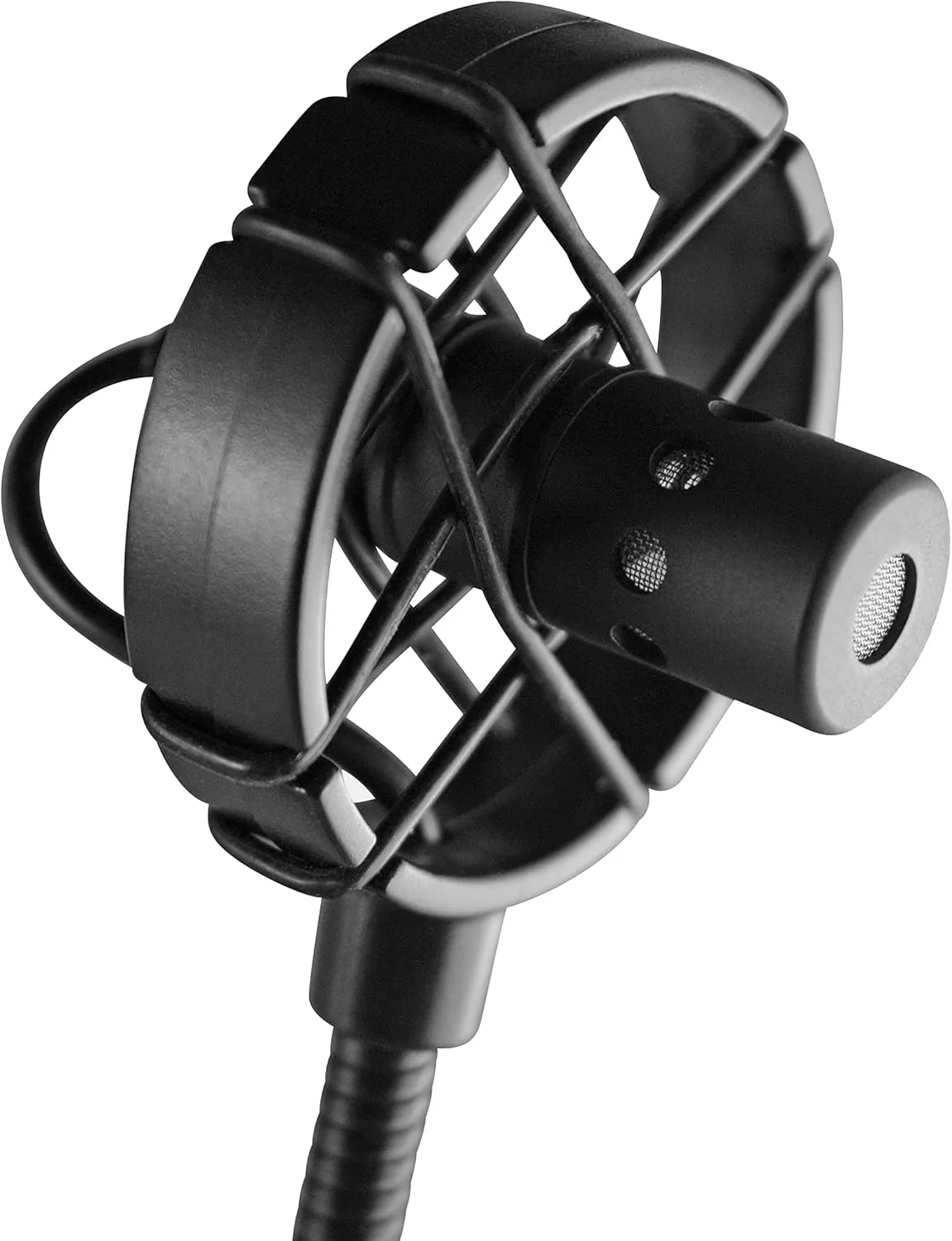 میکروفون Prodipe BL21 برای کنترباس