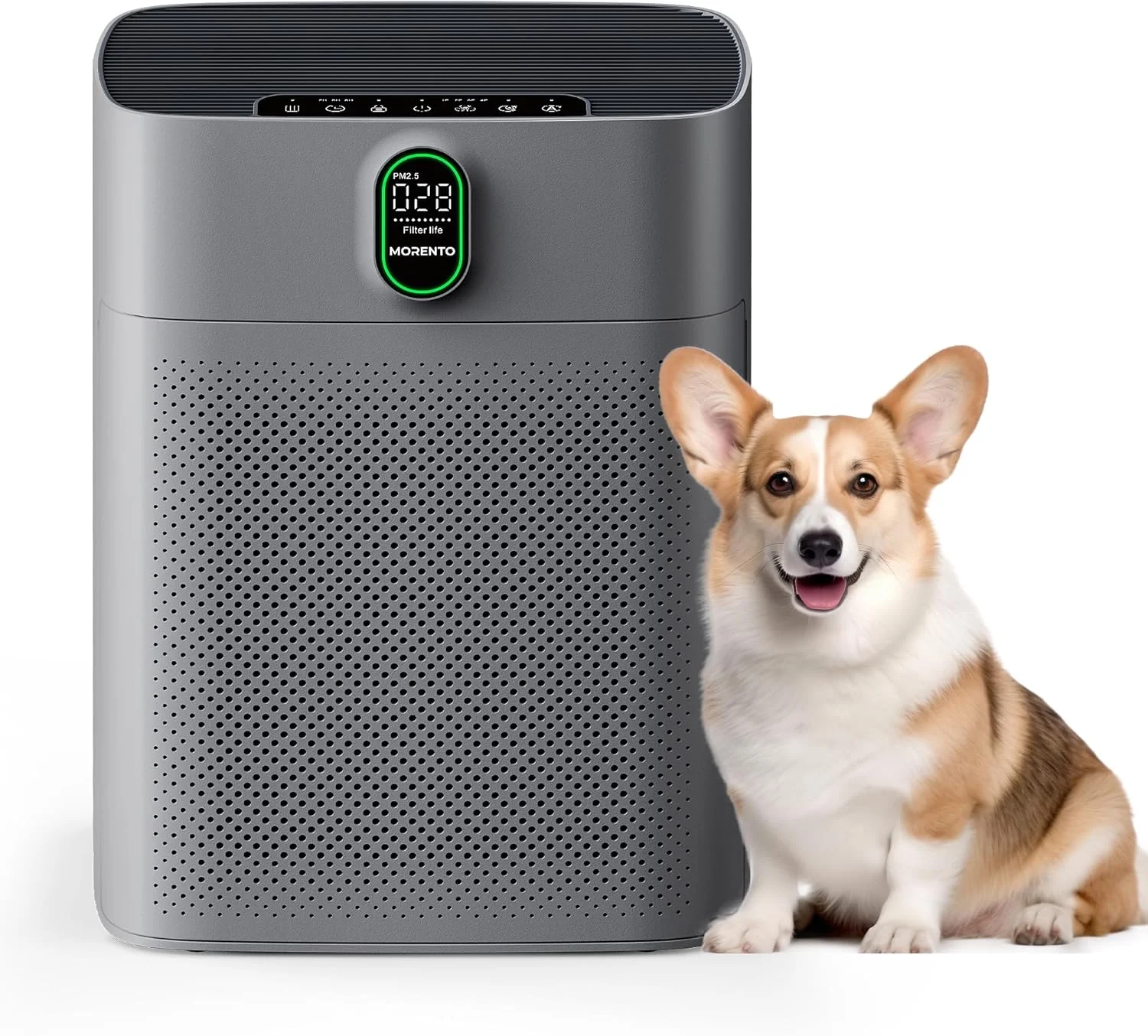 دستگاه تصفیه هوای مورنتو برای اتاق های بزرگ تا 100 متر مربع با نمایشگر PM 2.5 و سنسور کیفیت هوا برای موی حیوانات خانگی، ورودی هوای دو طرفه، 24 دسی بل، خاکستری، 1 عدد + 2 عدد فیلتر