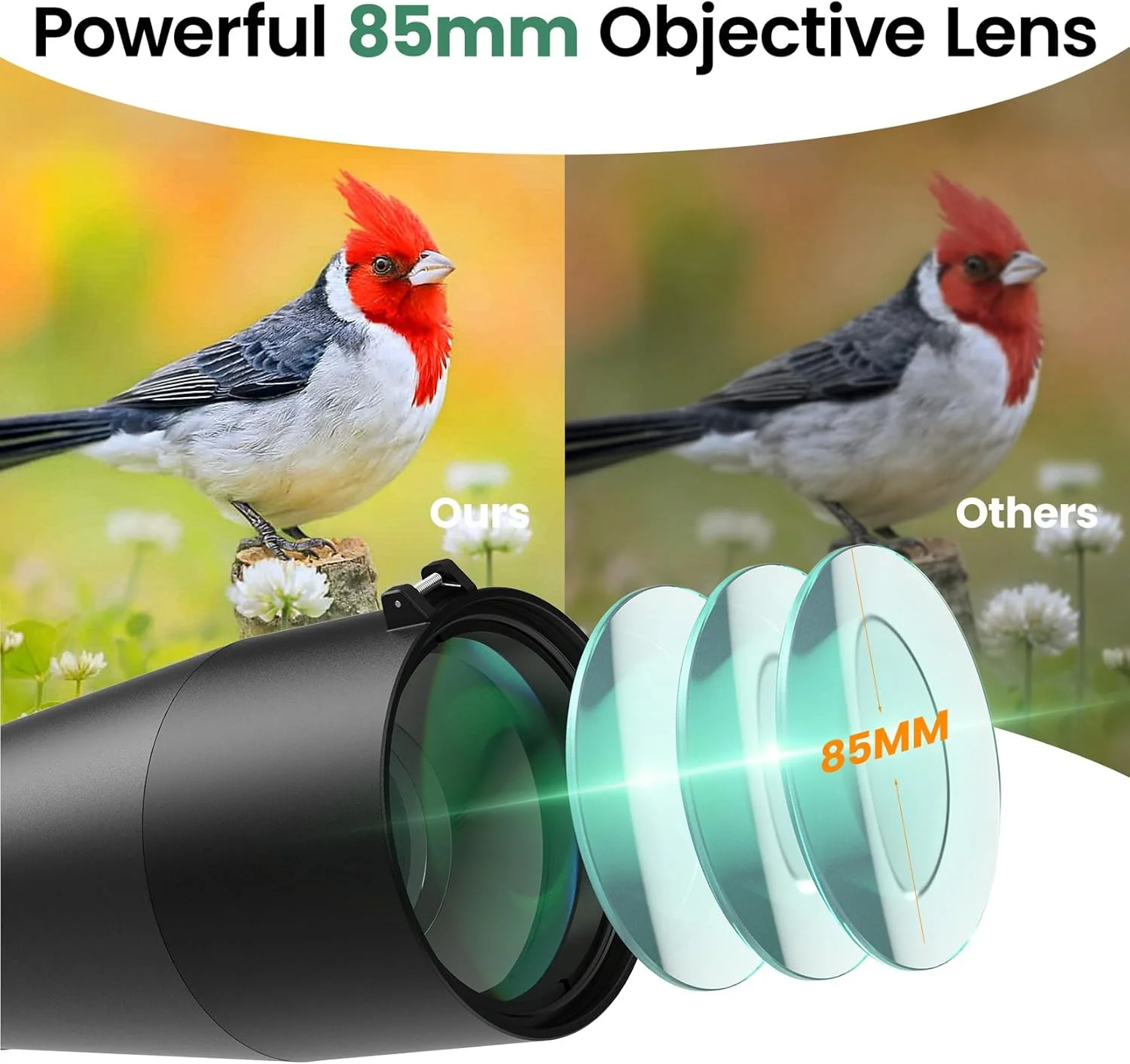 تلسکوپ دیدبانی گوسکی 20-60×85 با سه پایه - آداپتور تلفن، تلسکوپ دیدبانی با فوکوس دوگانه برای تماشای پرندگان، مناظر حیات وحش (مشکی) تلسکوپ دیدبانی گوسکی 20-60×85 با سه پایه - آداپتور تلفن، تلسکوپ دیدبانی با فوکوس دوگانه برای تماشای پرندگان، مناظر حیات وحش (مشکی)