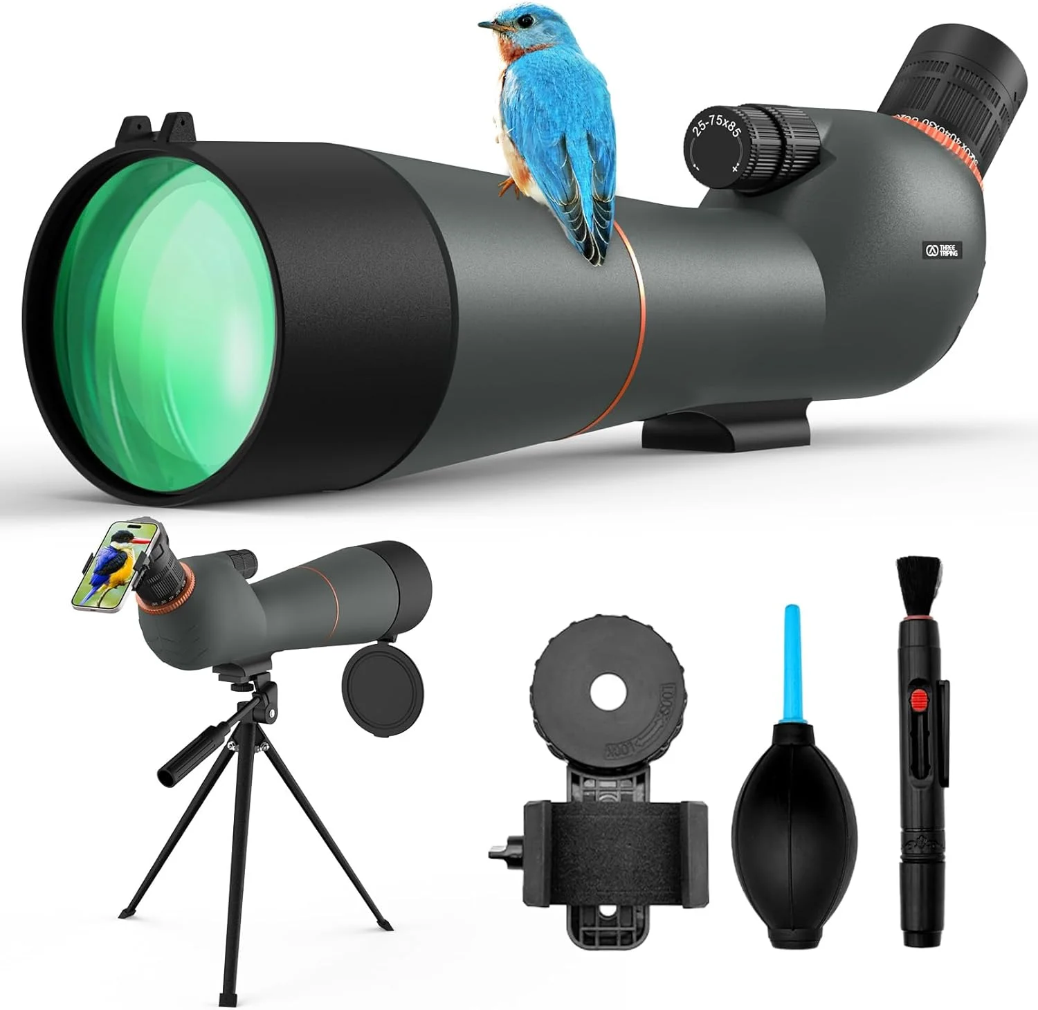 تلسکوپ دیدبانی 25-75×85 - تلسکوپ دوگانه با فوکوس، به همراه سه پایه و آداپتور تلفن، ایده آل برای تماشای پرندگان و مشاهده حیات وحش