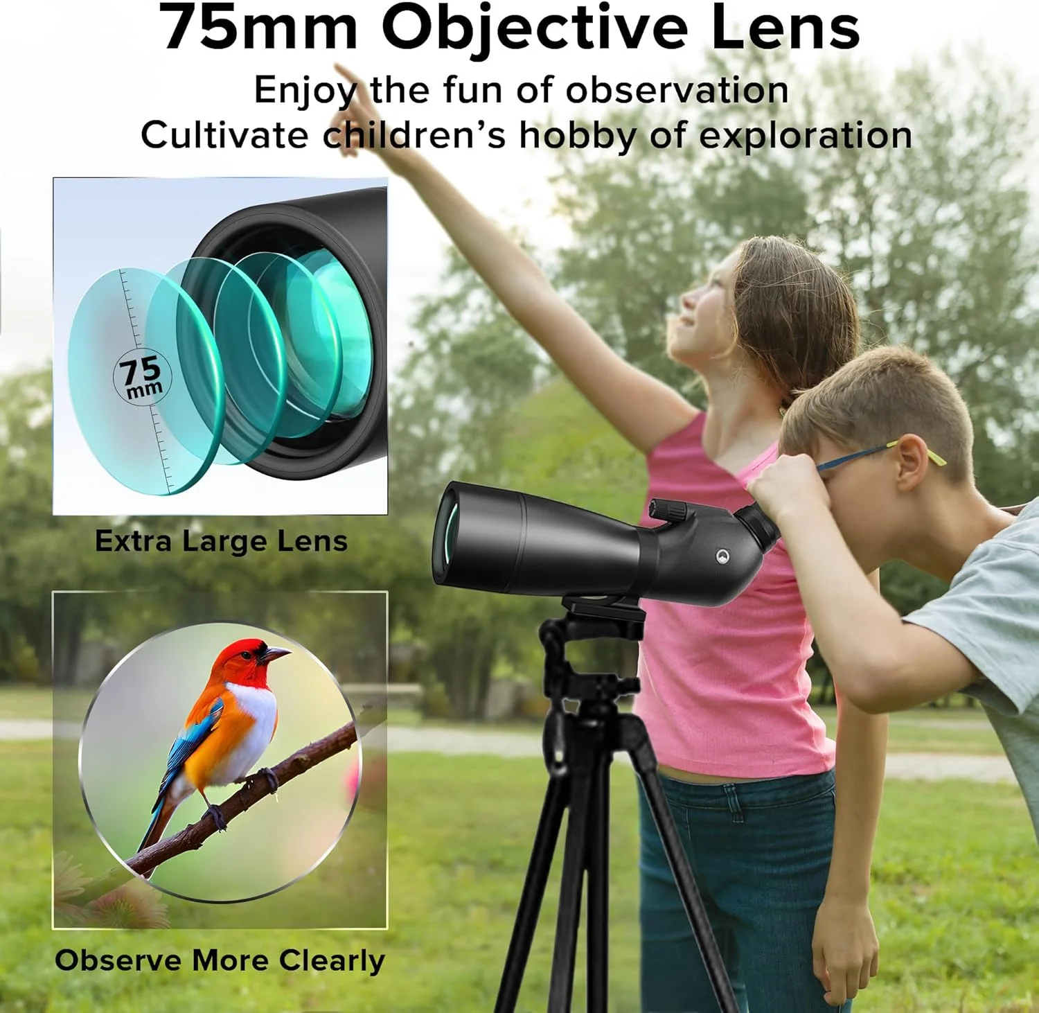 تلسکوپ دیدبانی 25-65x75 میلیمتری به همراه سه پایه بزرگ، کیف حمل و آداپتور تلفن - ایده آل برای تماشای پرندگان، شکار و تیراندازی به هدف تلسکوپ دیدبانی 25-65x75 میلیمتری به همراه سه پایه بزرگ، کیف حمل و آداپتور تلفن - ایده آل برای تماشای پرندگان، شکار و تیراندازی به هدف