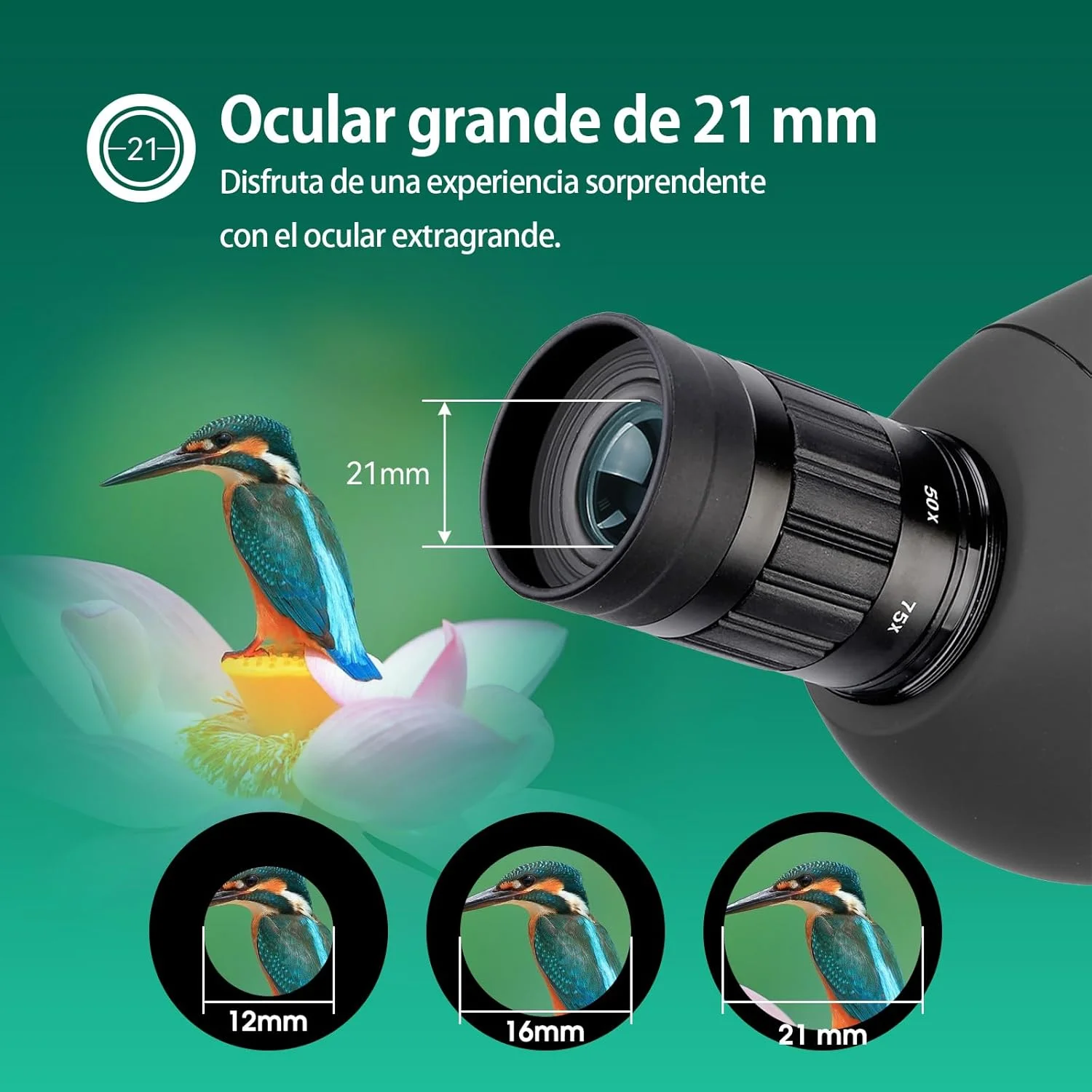 تلسکوپ دیدبانی SVBONY SV28 25-75x70 با سه پایه و آداپتور تلفن همراه، مناسب برای تماشای پرندگان، شکار و تیراندازی به هدف تلسکوپ دیدبانی SVBONY SV28 25-75x70 با سه پایه و آداپتور تلفن همراه، مناسب برای تماشای پرندگان، شکار و تیراندازی به هدف