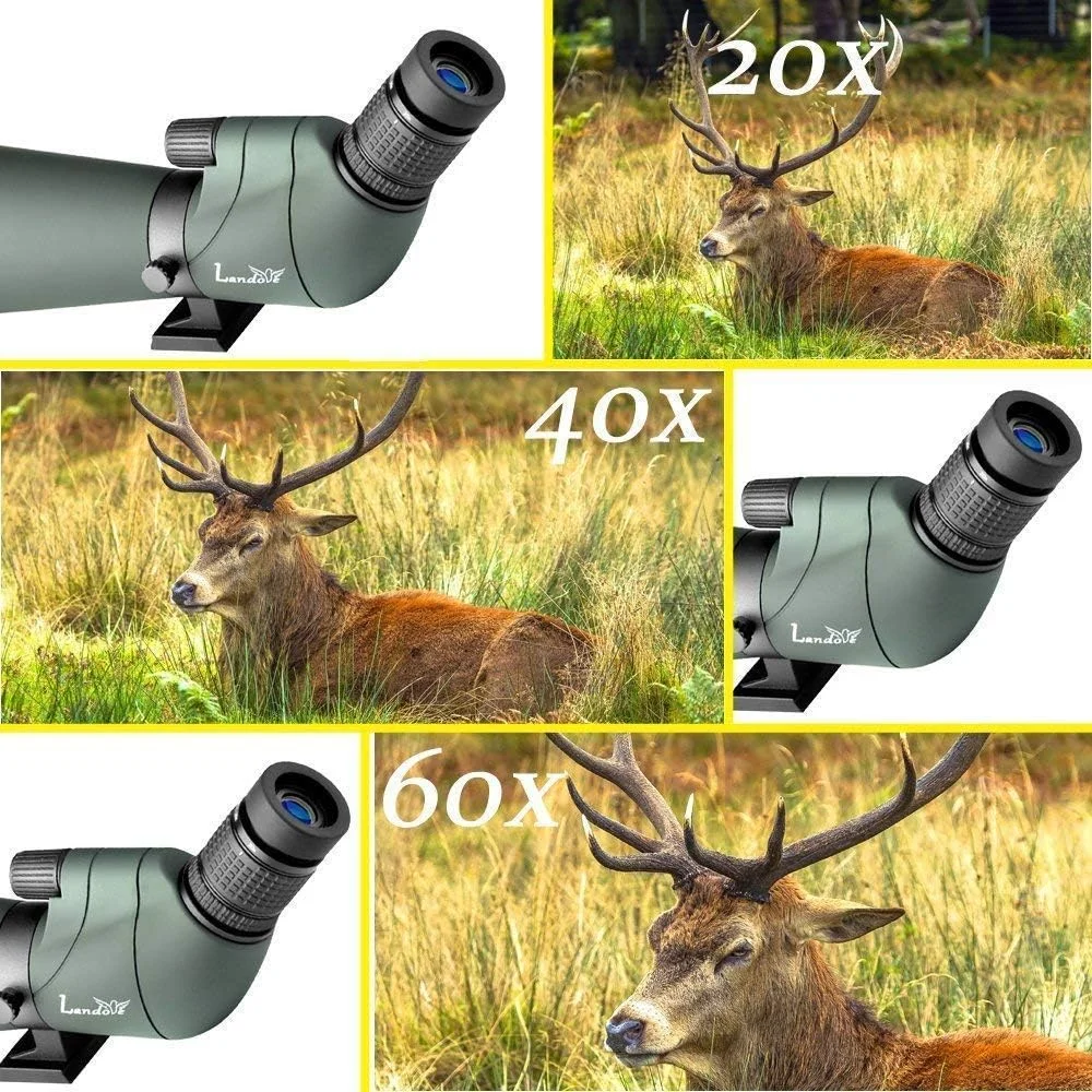 تلسکوپ دیدبانی ضدآب 65 میلیمتری 20-60X لنداو، مناسب برای تماشای پرندگان، تیراندازی به هدف، تیراندازی با کمان و فعالیتهای فضای باز - همراه با سهپایه و آداپتور تصویربرداری دیجیتال - زیبایی را به صفحه نمایش خود بیاورید تلسکوپ دیدبانی ضدآب 65 میلیمتری 20-60X لنداو، مناسب برای تماشای پرندگان، تیراندازی به هدف، تیراندازی با کمان و فعالیتهای فضای باز - همراه با سهپایه و آداپتور تصویربرداری دیجیتال - زیبایی را به صفحه نمایش خود بیاورید