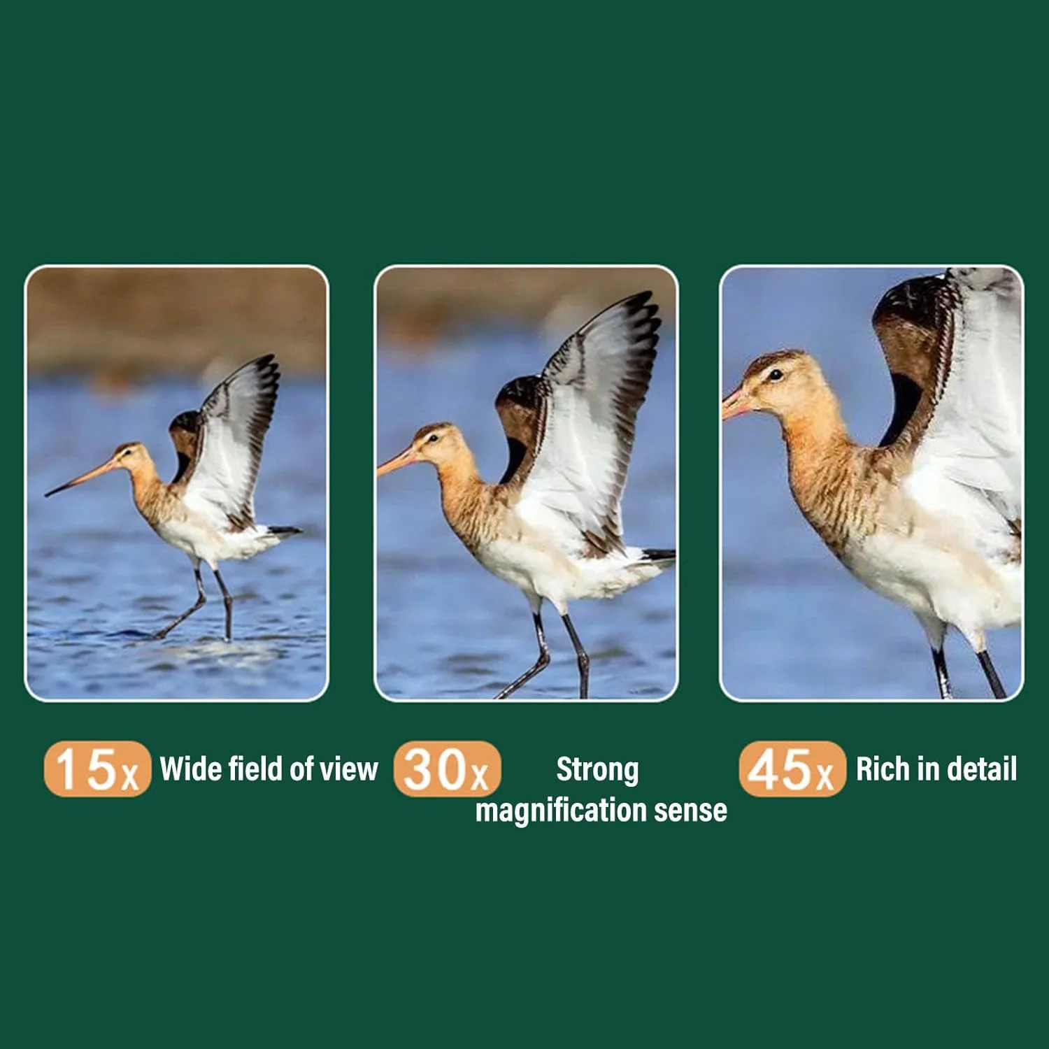 تلسکوپ دیدبانی زاویه دار 60 میلی متری ضد آب با سه پایه و کیف حمل، بزرگنمایی 15-45X برای تماشای پرندگان، حیات وحش و مناظر، ضد آب تلسکوپ دیدبانی زاویه دار 60 میلی متری ضد آب با سه پایه و کیف حمل، بزرگنمایی 15-45X برای تماشای پرندگان، حیات وحش و مناظر، ضد آب