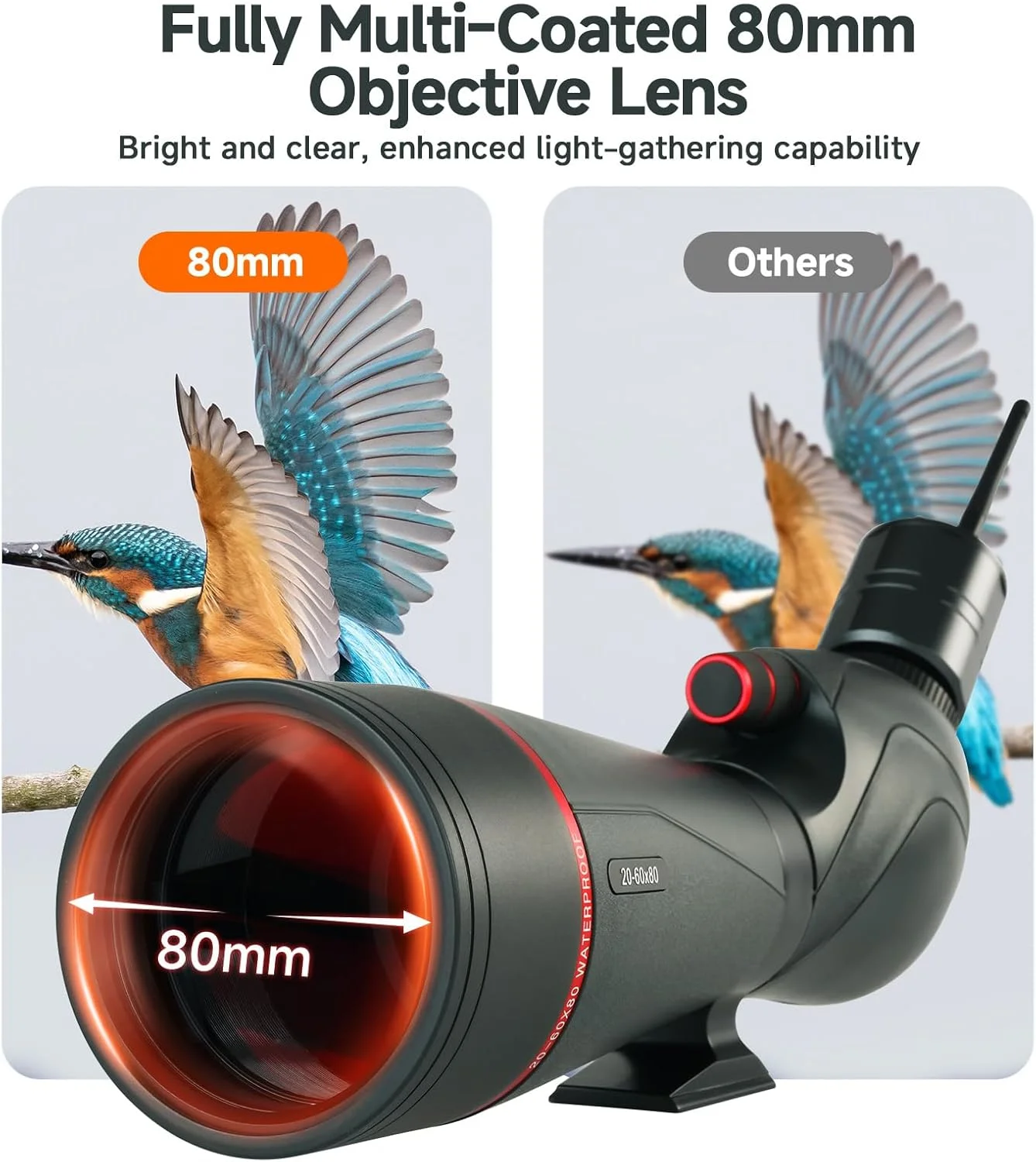 تلسکوپ دیدبانی SVBONY SV406 20-60x80 به همراه سه پایه، SC001 WiFi، آداپتور قابل تنظیم 3 محوره، سیستم اپتیک HD با منشور BAK4، ضد آب و ضد مه، تلسکوپ های دیدبانی برای تماشای پرندگان تلسکوپ دیدبانی SVBONY SV406 20-60x80 به همراه سه پایه، SC001 WiFi، آداپتور قابل تنظیم 3 محوره، سیستم اپتیک HD با منشور BAK4، ضد آب و ضد مه، تلسکوپ های دیدبانی برای تماشای پرندگان