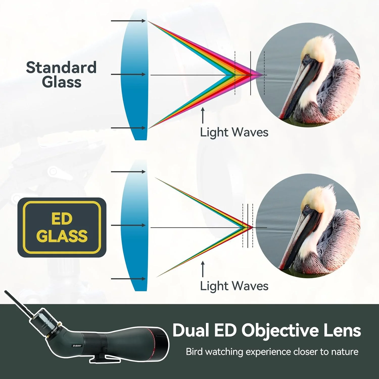 تلسکوپ دیدبانی آپوکروماتیک SVBONY SA401 25-75x100، عدسی شیئی دوگانه ED آپوکروماتیک، ضد آب IPX7، چشمی جداشدنی 1.25 اینچی، تلسکوپ تصویربرداری دیجیتال، سازگار با دوربین SC001 برای عکاسی از پرندگان تلسکوپ دیدبانی آپوکروماتیک SVBONY SA401 25-75x100، عدسی شیئی دوگانه ED آپوکروماتیک، ضد آب IPX7، چشمی جداشدنی 1.25 اینچی، تلسکوپ تصویربرداری دیجیتال، سازگار با دوربین SC001 برای عکاسی از پرندگان