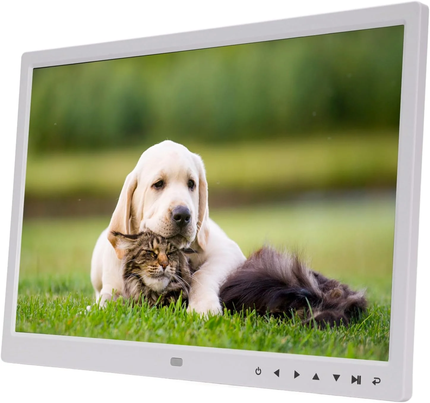 قاب عکس دیجیتال 15 اینچی Annadue، قاب عکس هوشمند وای فای با صفحه نمایش بزرگ HD 1920x1080، انتقال ابری بی سیم، حالت خواب، کنترل از راه دور (دوشاخه UK)