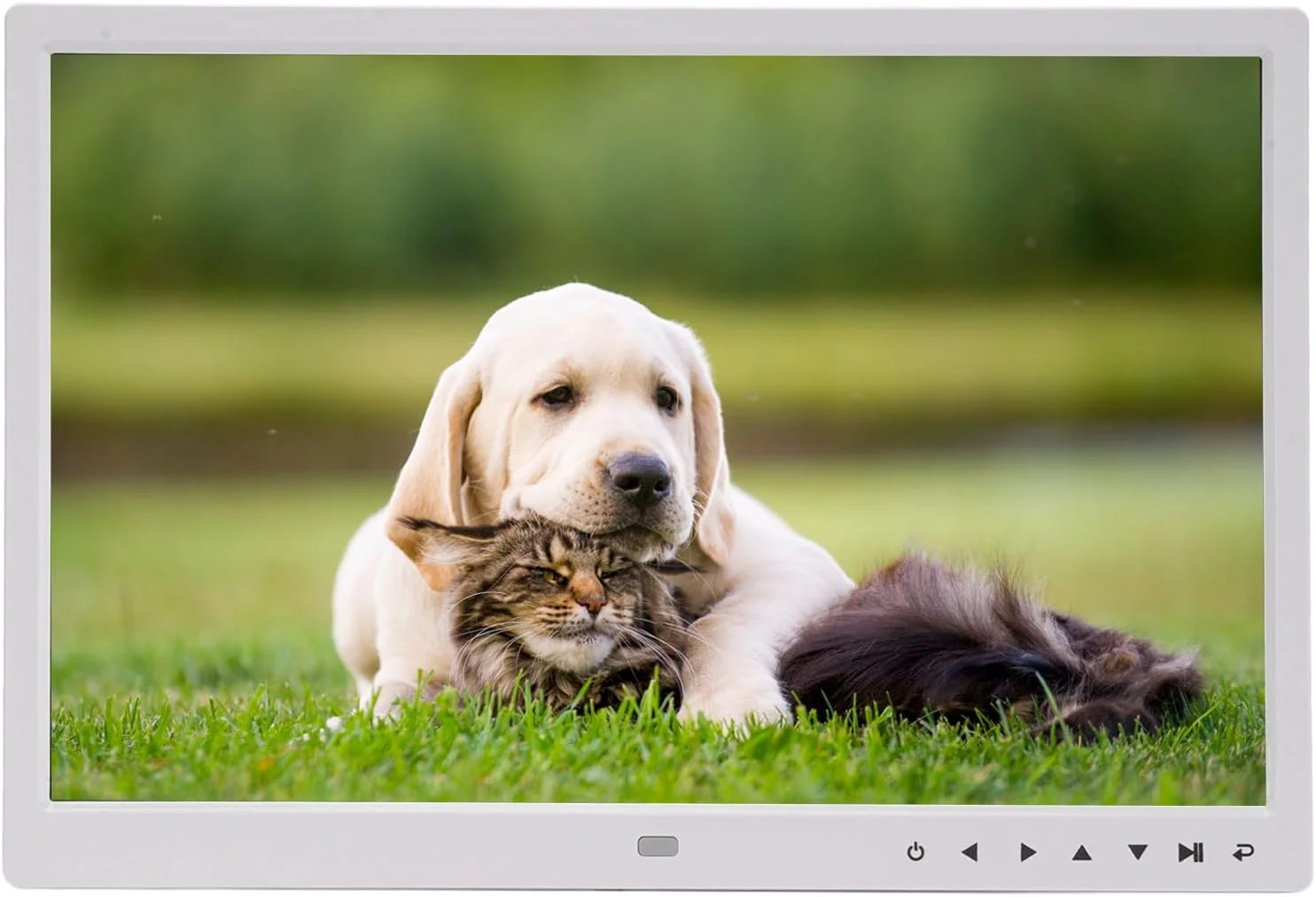 قاب عکس دیجیتال 15 اینچی Annadue، قاب عکس هوشمند وای فای با صفحه نمایش بزرگ HD 1920x1080، انتقال ابری بی سیم، حالت خواب، کنترل از راه دور (دوشاخه UK) قاب عکس دیجیتال 15 اینچی Annadue، قاب عکس هوشمند وای فای با صفحه نمایش بزرگ HD 1920x1080، انتقال ابری بی سیم، حالت خواب، کنترل از راه دور (دوشاخه UK)