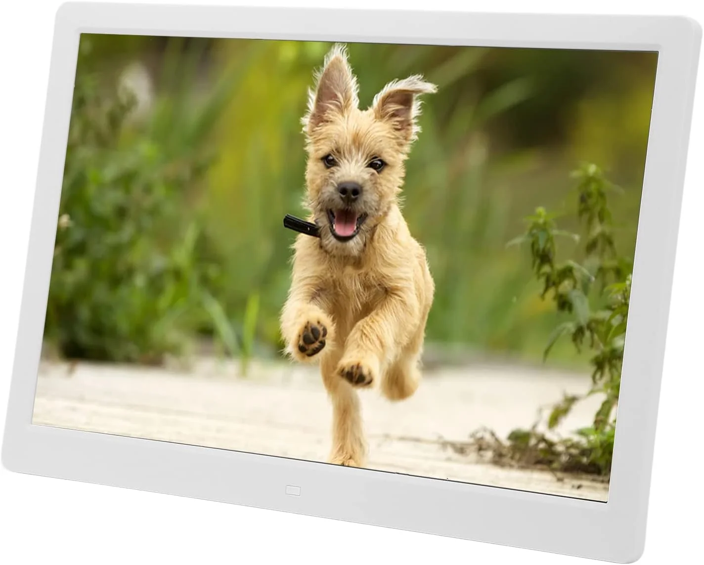 قاب عکس دیجیتال 15.4 اینچی با رزولوشن 1280x800P و چرخش خودکار، قاب عکس ابری هوشمند با صفحه لمسی HD و پخش موسیقی پس زمینه، راه اندازی آسان برای به اشتراک گذاری عکس ها و فیلم ها از راه دور، سفید (#2) #2
