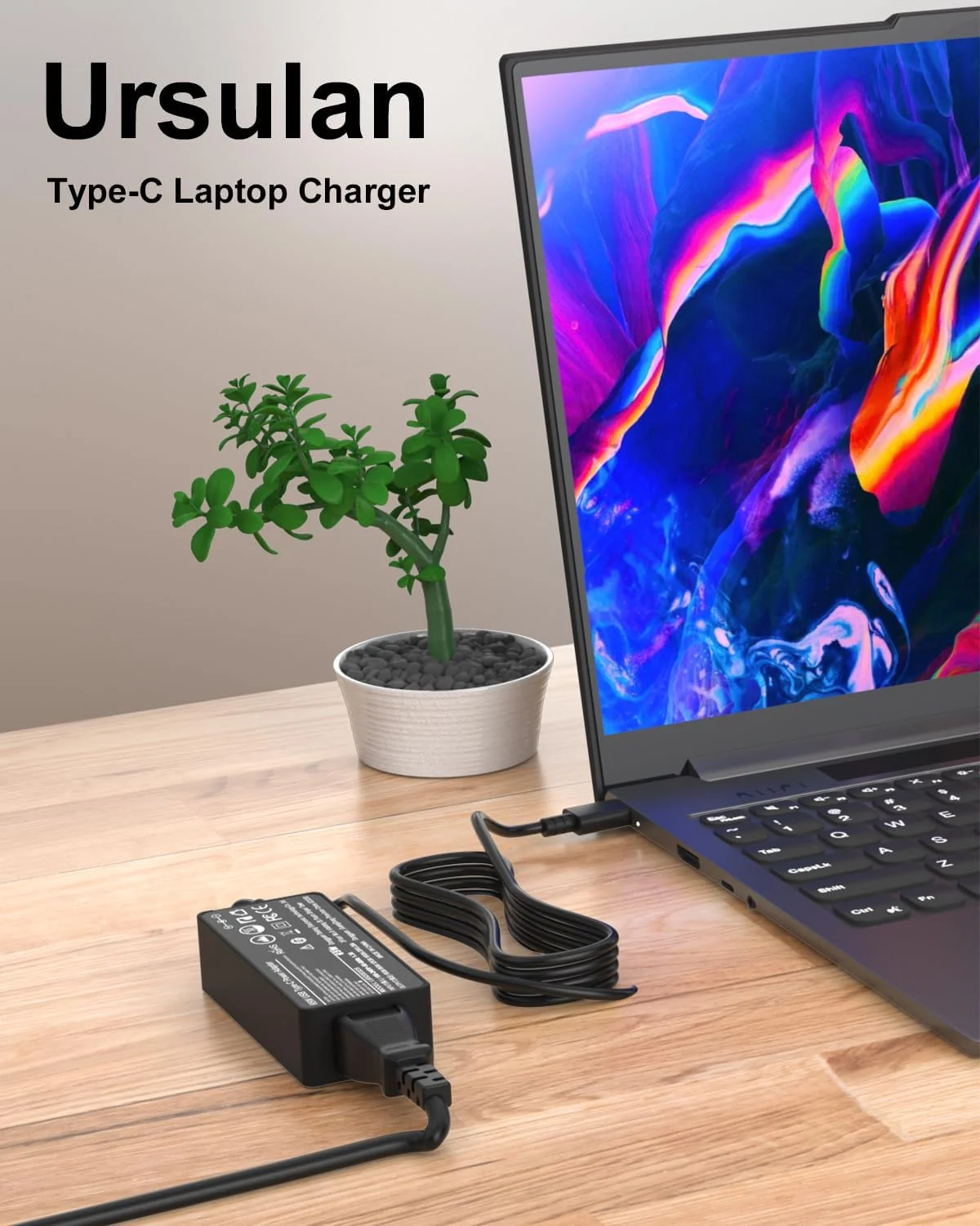 شارژر 65 واتی USB C سازگار با لپ تاپ های HP EliteBook 830 835 840 845 860 865 640 650 655 1040 ProBook 440 445 450 455 460 465 سری G8 G9 G10 G11 آداپتور برق AC نوع C شارژر 65 واتی USB C سازگار با لپ تاپ های HP EliteBook 830 835 840 845 860 865 640 650 655 1040 ProBook 440 445 450 455 460 465 سری G8 G9 G10 G11 آداپتور برق AC نوع C