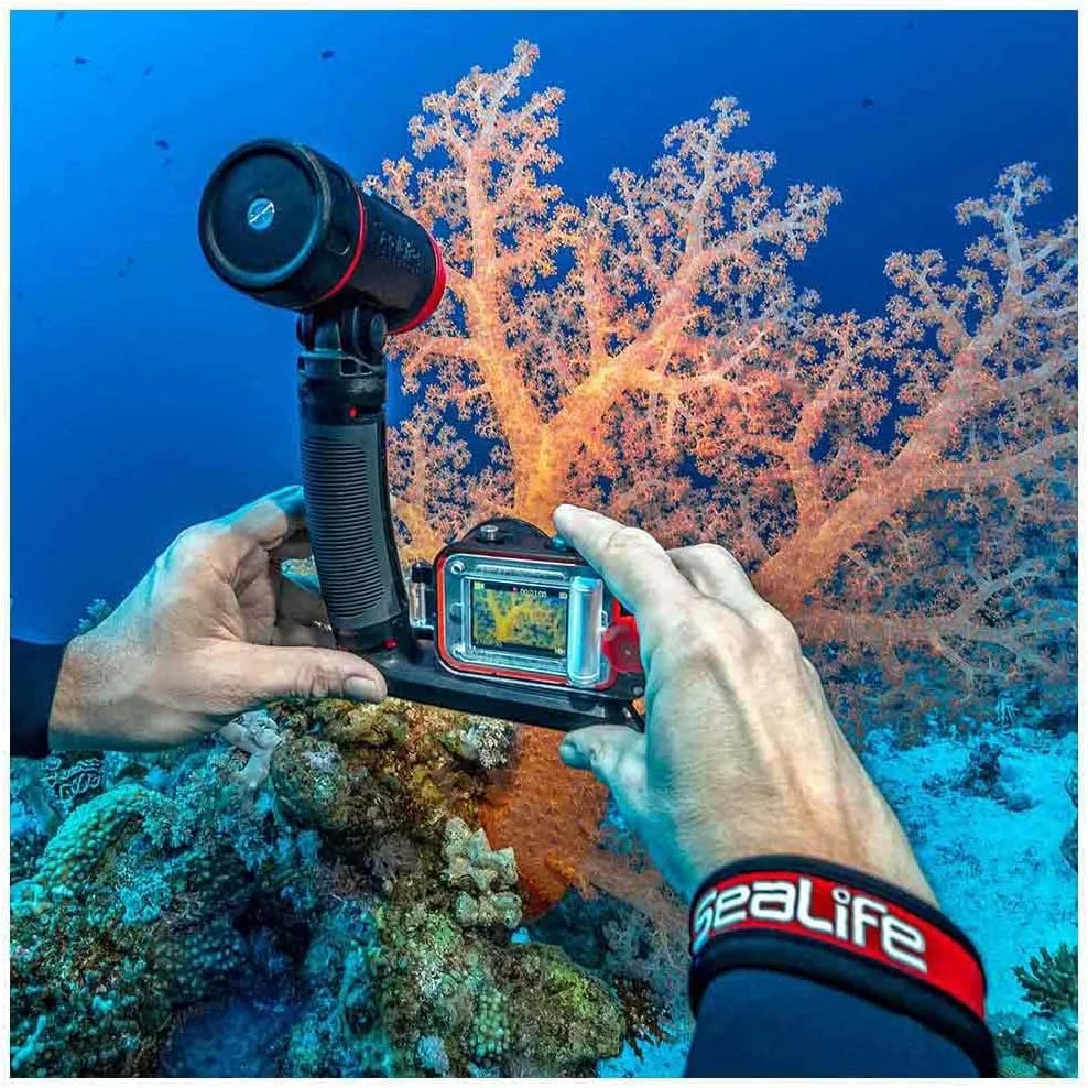 مجموعه ReefMaster RM-4K Pro 2000