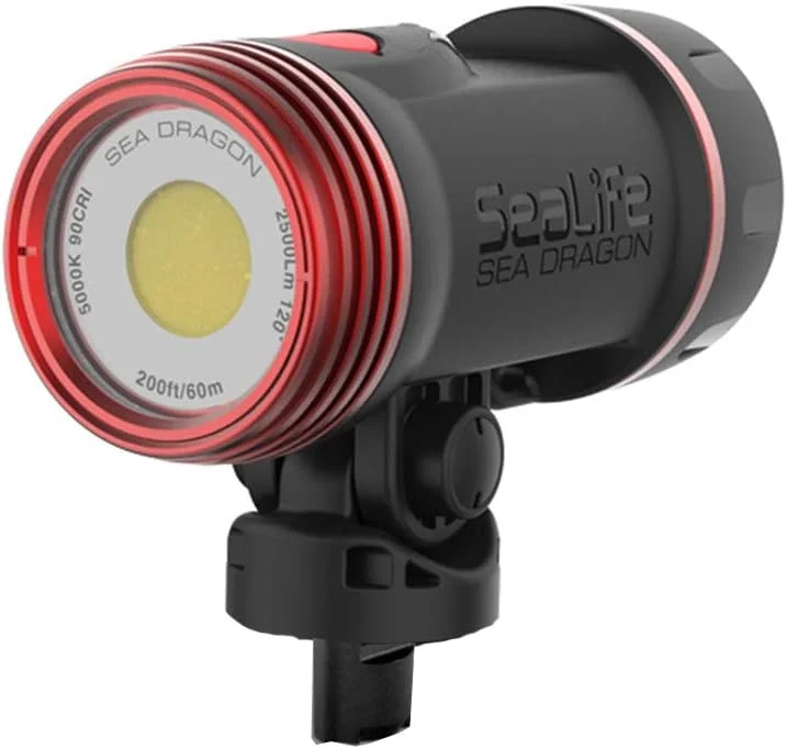 هد Sea Dragon 2500F