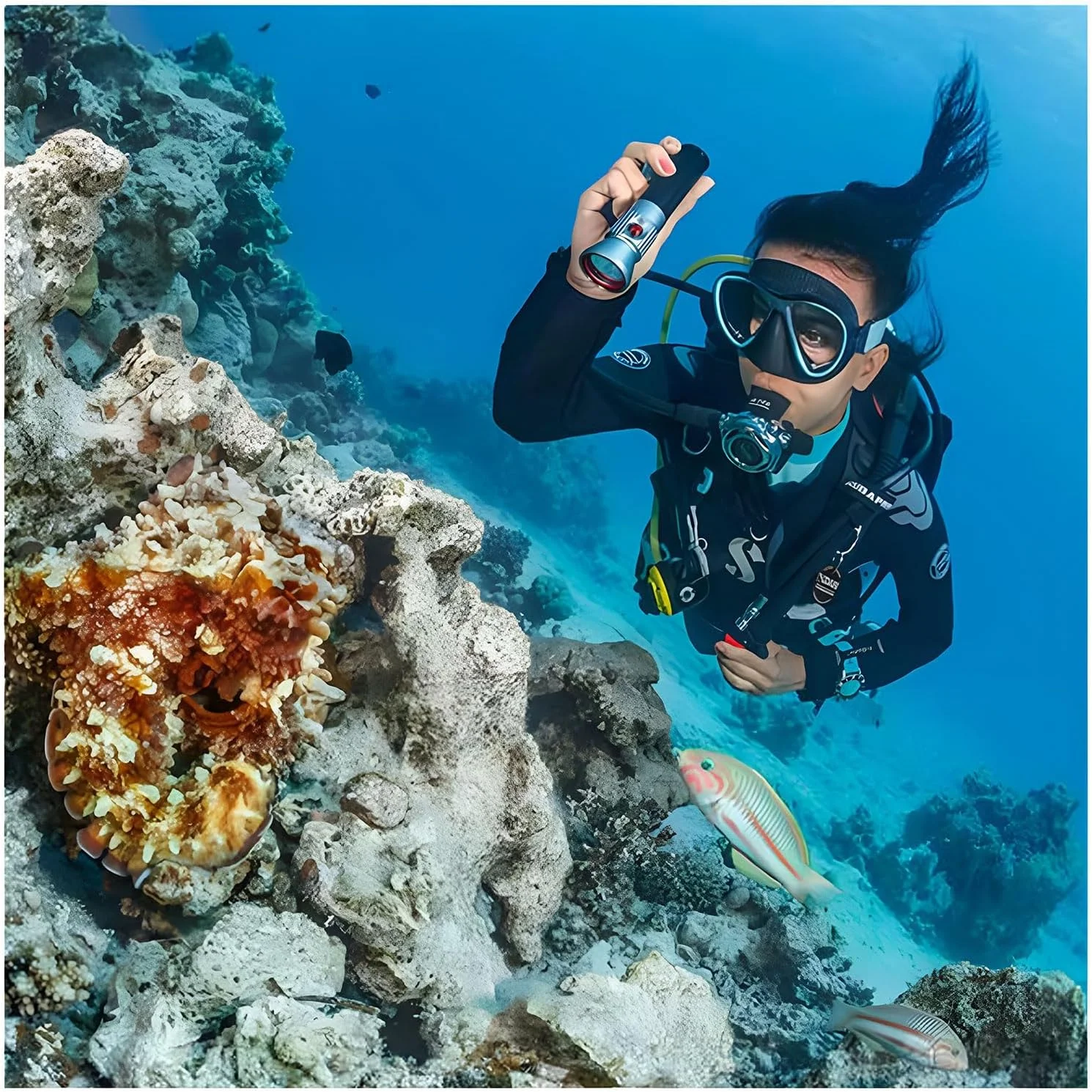 چراغ غواصی SeaLife Sea Dragon 1200، نور با شدت بالا و برد بلند، چراغ غواصی ال ای دی 1200 لومن با طراحی فوق فشرده، ضد آب تا عمق 100 متری (فقط چراغ غواصی)