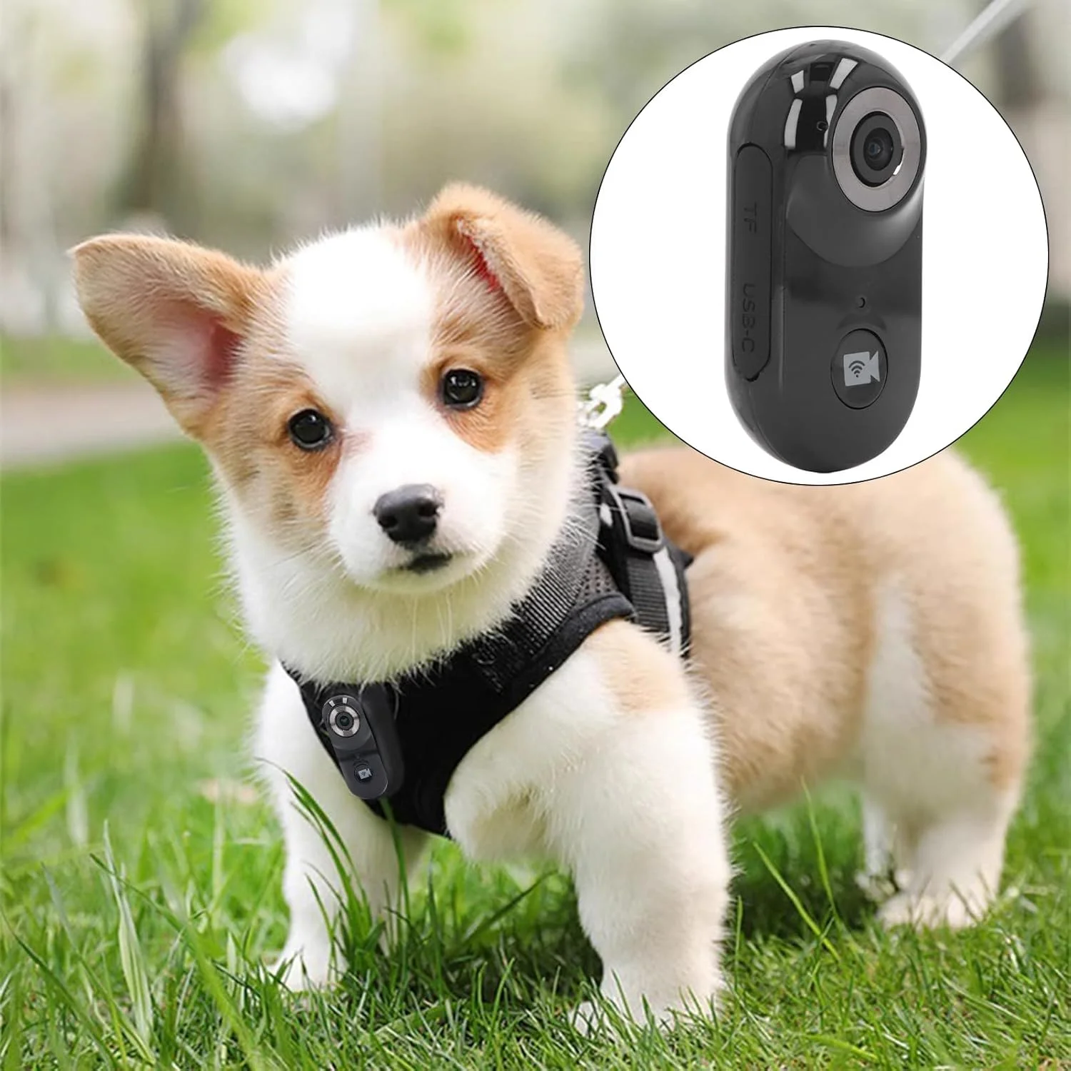 دوربین کوچک FHD 1080P، دوربین اکشن پوشیدنی، دوربین ضبط بدون دست با اندازه انگشت شست، دوربین مکشی مغناطیسی قابل نصب در هر مکان برای کار، مسافرت و امنیت دوربین کوچک FHD 1080P، دوربین اکشن پوشیدنی، دوربین ضبط بدون دست با اندازه انگشت شست، دوربین مکشی مغناطیسی قابل نصب در هر مکان برای کار، مسافرت و امنیت