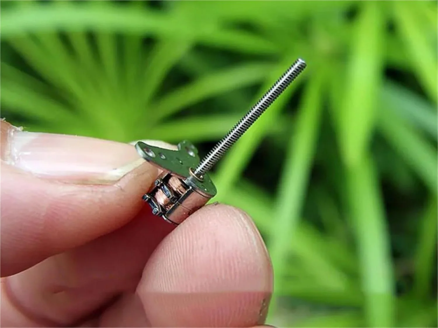 موتور پله ای مینیاتوری 6 میلی متری 2 فاز 4 سیمه با شفت بلند 17 میلی متری و پیچ خطی مناسب لنز دوربین دیجیتال - 1 عدد