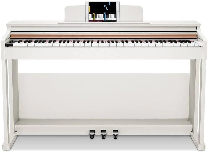 پیانو دیجیتال 88 کلیدی Donner DDP-100 با اکشن چکشی سنگین، بسته کیبورد پیانو مبتدی با پایه مبلمان، 128 پلی فونی، کابینت با پوشش کشویی کلید برای محافظت از آداپتور برق کلید، سفید | EC3204 پیانو دیجیتال 88 کلیدی Donner DDP-100 با اکشن چکشی سنگین، بسته کیبورد پیانو مبتدی با پایه مبلمان، 128 پلی فونی، کابینت با پوشش کشویی کلید برای محافظت از آداپتور برق کلید، سفید | EC3204