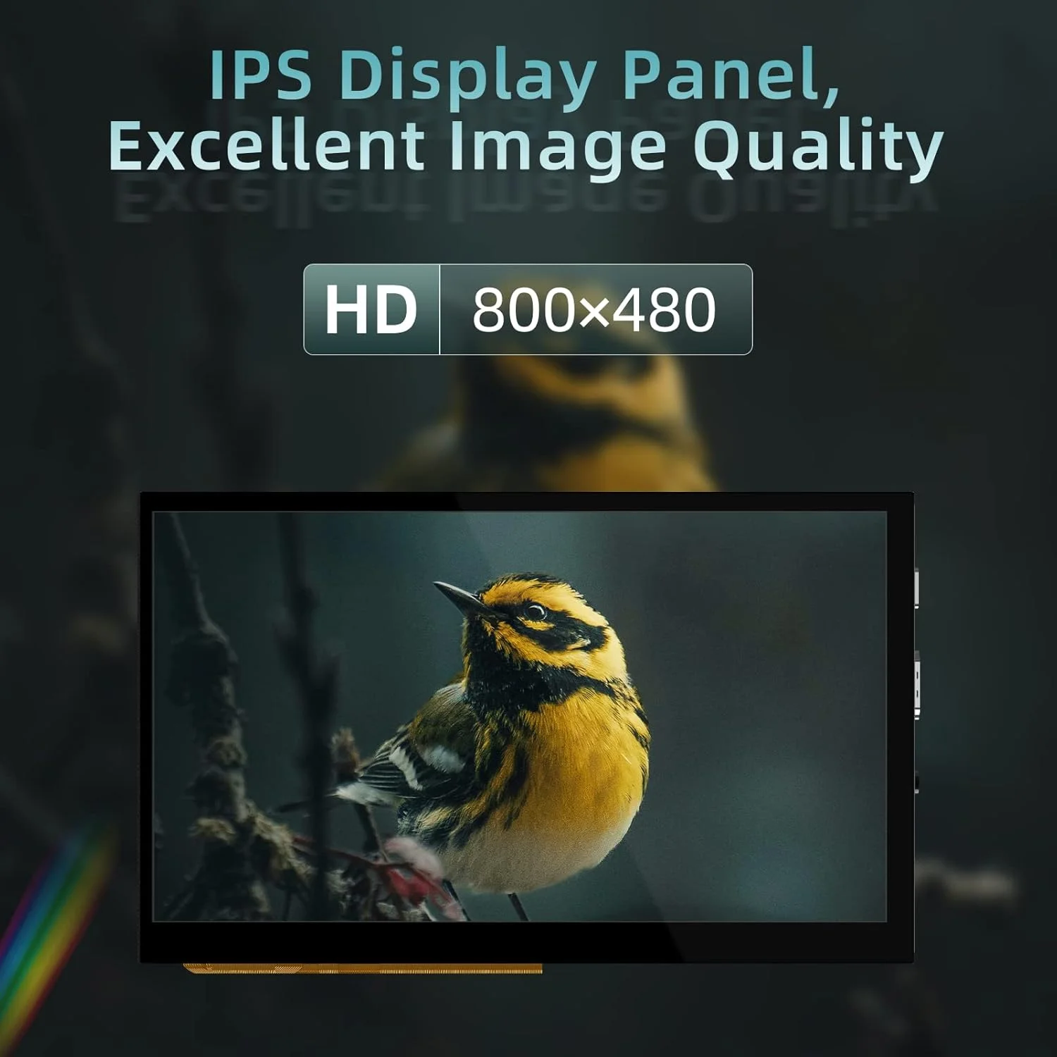 نمایشگر لمسی 5 اینچی HDMI بیگ تری تک، رزولوشن 800x480، مانیتور IPS با زاویه دید 160 درجه سازگار با Sovol-SV08، رزبری پای 4B، 3B، بنانا پای، ویندوز 10، 8، 7