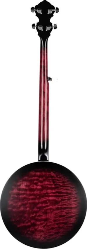 بانجو 5 سیم Ortega سری Falcon با روکش قرمز محو شونده شفاف به همراه کیف حمل لوکس | OBJE400TFR